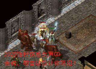 2025�����˸�Ů��CD���������ս���������᣿