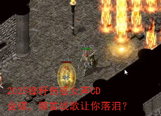 2025�����˸�Ů��CD���������ս���������᣿