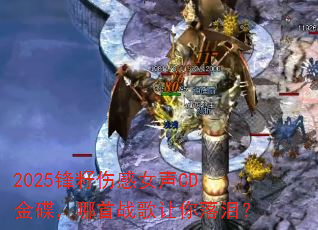 2025�����˸�Ů��CD���������ս���������᣿