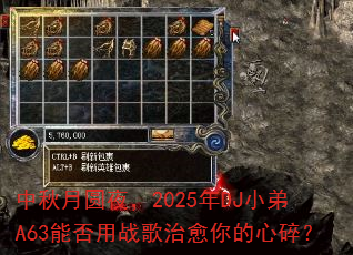 ������Բҹ��2025��DJС��A63�ܷ���ս������������飿