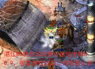 տ��MC����2025��������ר��NO.9��������Ϸս�������������飿