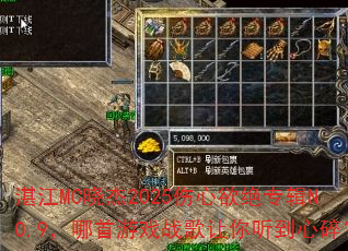 տ��MC����2025��������ר��NO.9��������Ϸս�������������飿