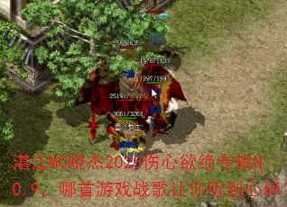 տ��MC����2025��������ר��NO.9��������Ϸս�������������飿
