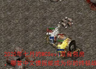 2025�����µ�MCSevi��������������������ҡ�ܳ�Ϊ����ռ�ս�裿