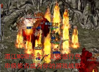 տ��MC����ȫ�����˸����˴����ܷ��Ϊ�����Ϸս�裿
