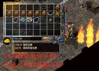 2025��ȼ�����籩��DJ־�ٴ����˷�ȫ��