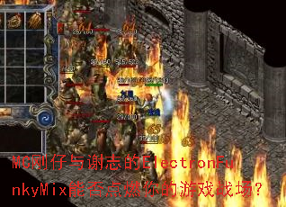 MC������л־��ElectronFunkyMix�ܷ��ȼ�����Ϸս����