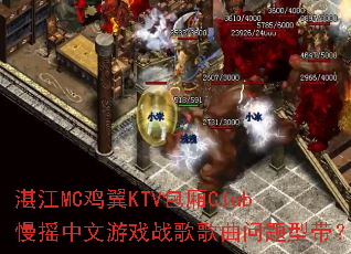 տ��MC����KTV����Club��ҡ������Ϸս����������ʹ���