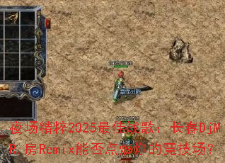 ҹ������2025���ս�裺����DjMR.��Remix�ܷ��ȼ��ľ�������
