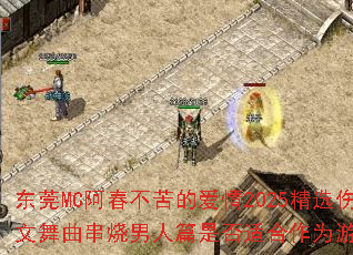 ��ݸMC��������İ���2025��ѡ�˸�����������������ƪ�Ƿ��ʺ���Ϊ��Ϸս�裿