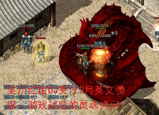 �⴨���DJ����3��Ӣ����ҡ����Ϸս�����꿽�ʣ�