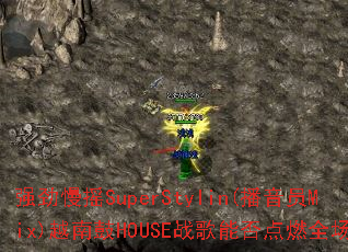 ǿ����ҡSuperStylin(����ԱMix)Խ�Ϲ�HOUSEս���ܷ��ȼȫ����