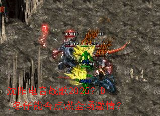��������ս��2025��Dj�����ܷ��ȼȫ�����飿
