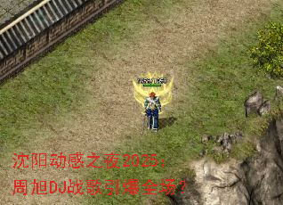 ��������֮ҹ2025������DJս������ȫ����