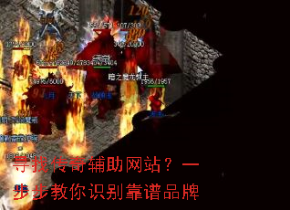 Ѱ�Ҵ��渨����վ��һ��������ʶ����Ʒ��