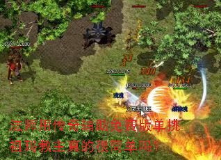 ��ʦ�ô��渨����Ѱ浥�����������ĺܼ���