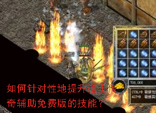 �������Ե�������ʿ���渨����Ѱ�ļ��ܣ�