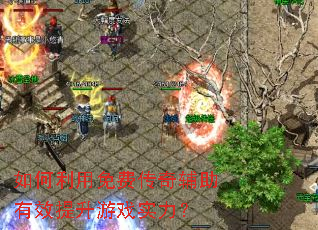 ���������Ѵ��渨����Ч������Ϸʵ����