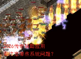 2026���渨��Ӧ����ע����Щϵͳ���⣿