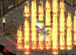 DJ֣Tsang���贮�մ���ս�����ܲ��м���������