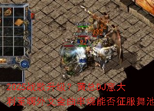 2025ս������������DJ������������Ľ��������ܷ��������