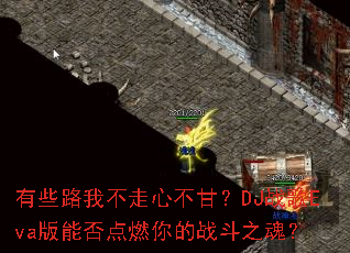 ��Щ·�Ҳ����Ĳ��ʣ�DJս��Eva���ܷ��ȼ���ս��֮�ꣿ
