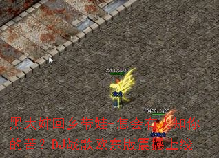 �ڴ����������-��������֪��ĿࣿDJս��ŷ����������