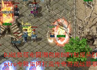DJս���㲼��������B��Y��ҡͷElectroר����δ��촫����Ϸս��赥��