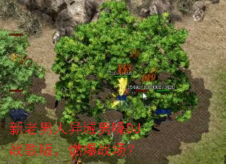 ��������������ɤDJս��棬ȼ��ս����