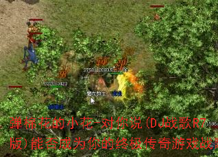 ���޻���С��-����˵(DJս��R7��)�ܷ��Ϊ����ռ�������Ϸս�裿