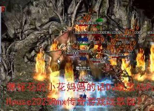 ���޻���С������Ļ�DJս��A5FunkyHouse2025Rmx������Ϸս��棿