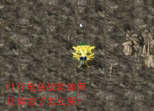 Ҷ�е���ս���������������ô�ޣ�