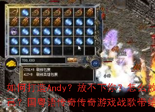 ��δ���Andy���Ų����㣿��ô�Ź��Լ��������ﴫ�洫����Ϸս��������