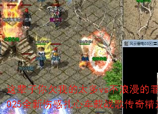 �Ⱳ����Ƿ�ҵ�̫��vs���������2025ȫ���˸����ĳ���ս�贫�澫ѡ
