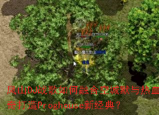 ��ɽDJս������ںϿճ�Ĭ����Ѫ�������Proghouse�¾��䣿