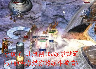 С����-�����(DJս��Ĭ����)�ܷ��ȼ���ս�����飿