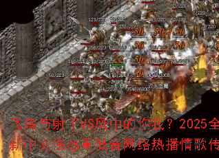 ����������VS���е����ң�2025ȫ�������˸��ص��������Ȳ���贫�澫ѡ