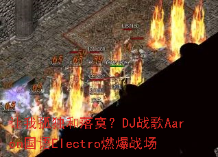 ���ҹ¶�����į��DJս��Aaron����Electroȼ��ս��
