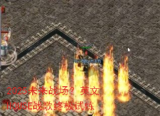 2025δ��ս����Ӣ��HOUSEս���ռ�����