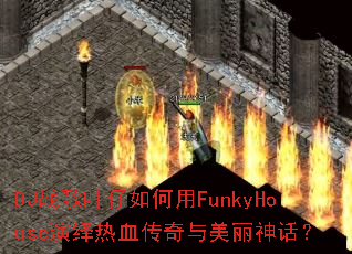DJս��Ҷ�������FunkyHouse������Ѫ�����������񻰣�