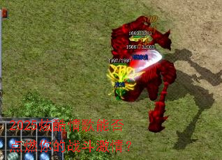 2025�ſ�����ܷ��ȼ���ս�����飿