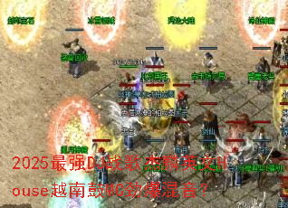 2025��ǿDJս�����Ӣ��HouseԽ�Ϲ�MC����������