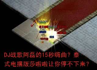 DJս�谢�ڵ�15��������̩ʽ��ڰ�ɯ��������ͣ��������