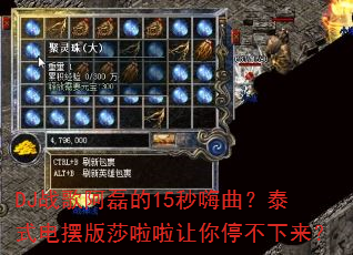 DJս�谢�ڵ�15��������̩ʽ��ڰ�ɯ��������ͣ��������