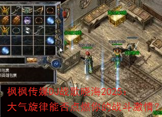 ��㴫ýDJս������2025�����������ܷ��ȼ���ս�����飿