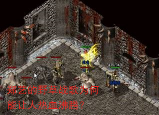 ֣�յ�Ұ��ս��Ϊ����������Ѫ���ڣ�