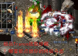 ��ƷTranceս����أ������ܵ�ȼ����ռ���־