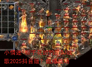 С����-���ӻ���Լ��DJս��2025�����棿ȼ��ս��