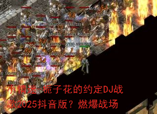 С����-���ӻ���Լ��DJս��2025�����棿ȼ��ս��