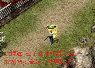 С����-���ӻ���Լ��DJս��2025�����棿ȼ��ս��
